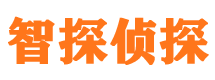 北海外遇调查取证